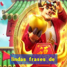 lindas frases de chico xavier sobre a morte